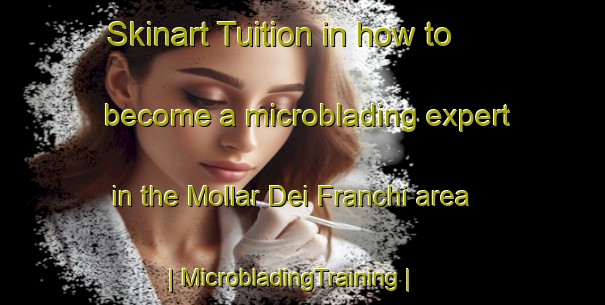 Skinart Tuition in how to become a microblading expert in the Mollar Dei Franchi area | MicrobladingTraining | MicrobladingClasses | SkinartTraining-Italy